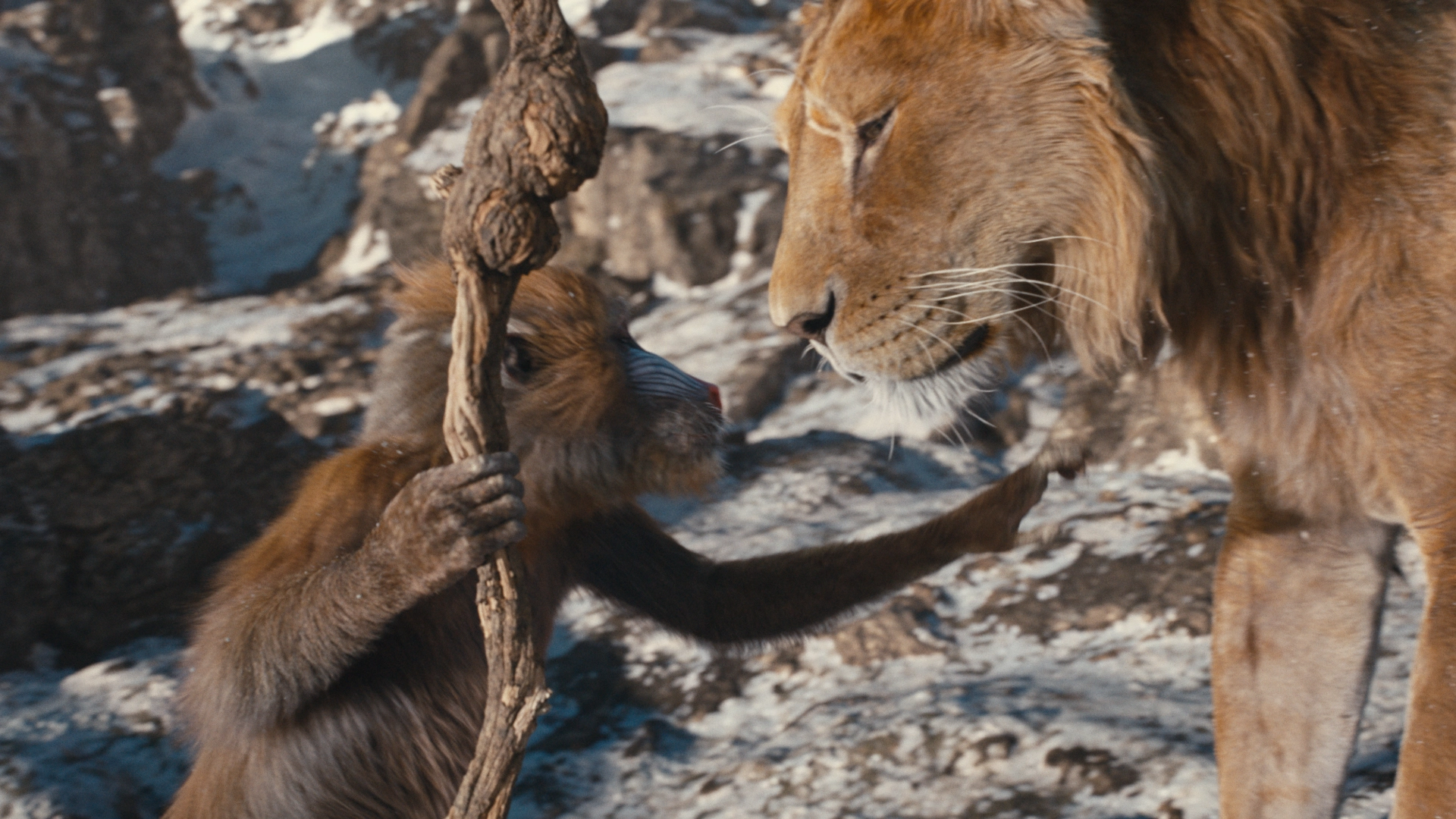 Mufasa y Rafiki, amistad inmortal.