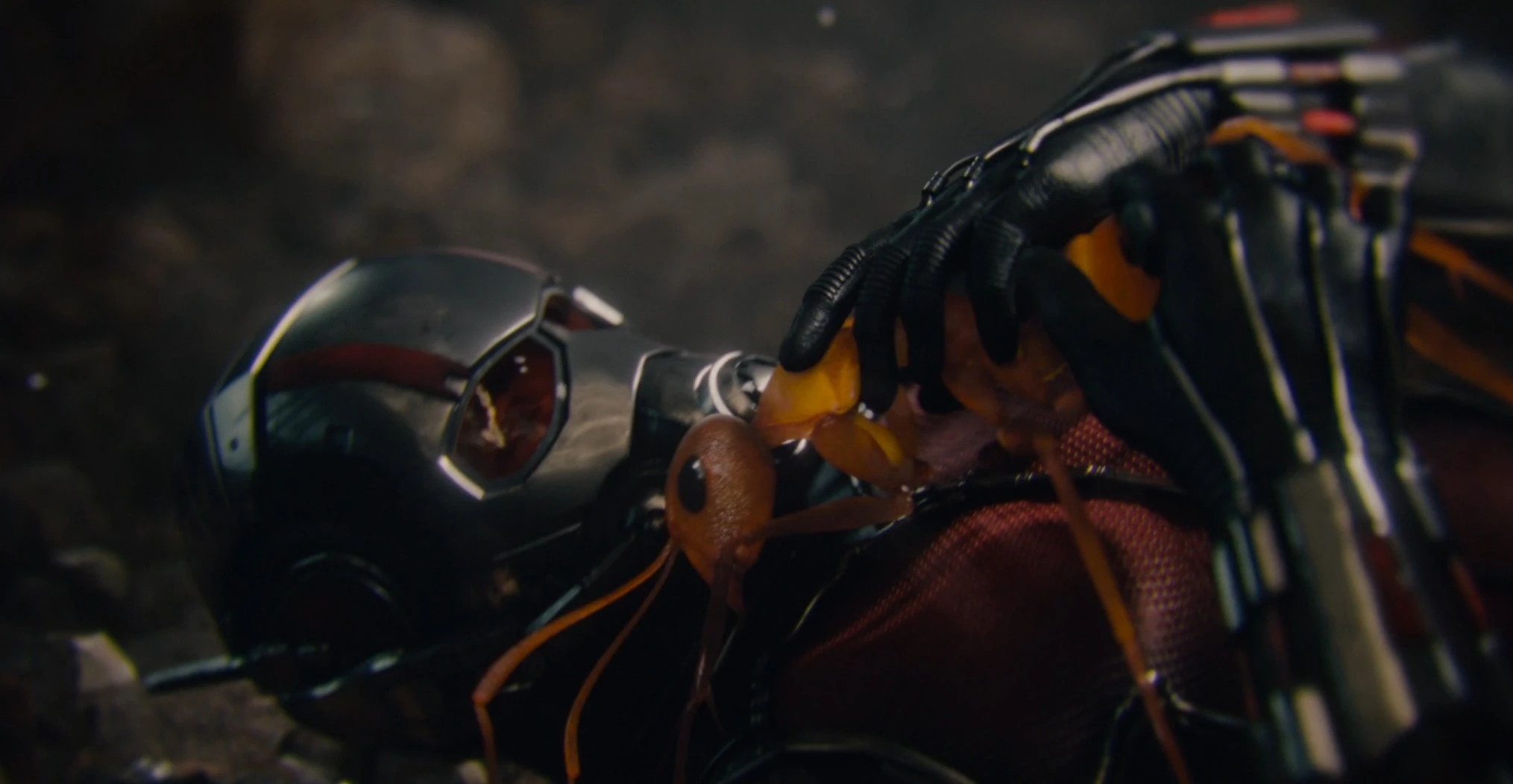 Ant-Man y su nueva mascota.