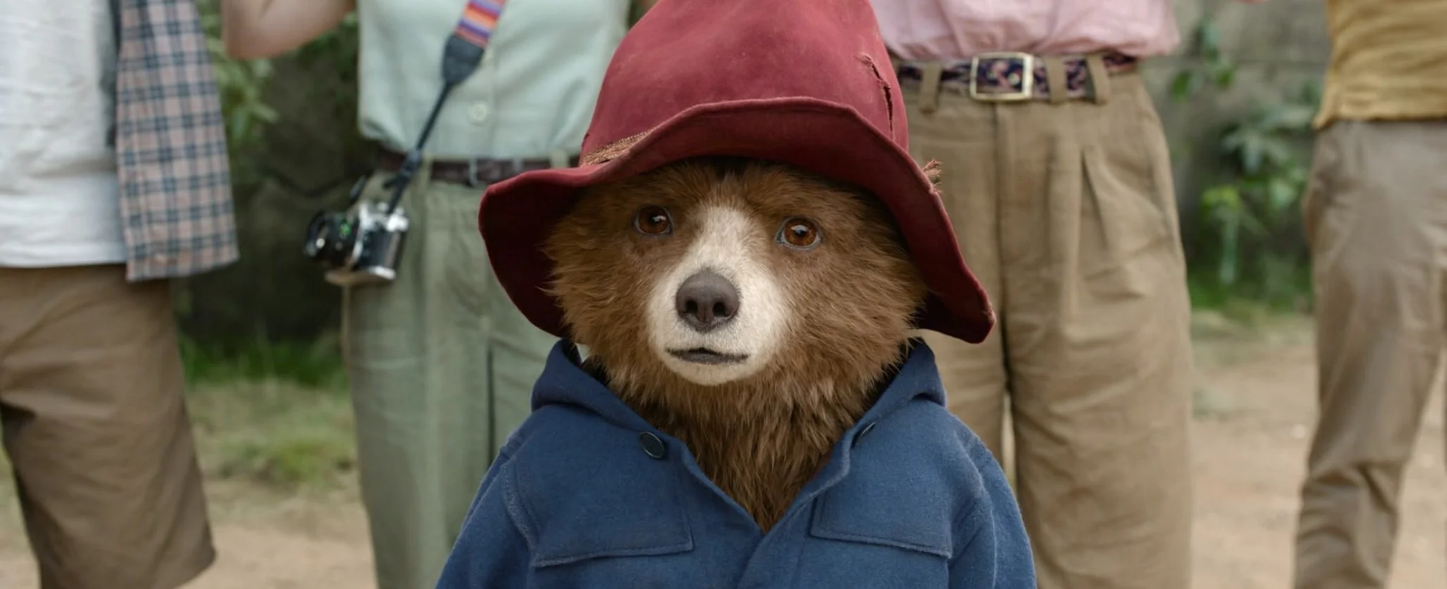 El oso Paddington en la Amazonia peruana.