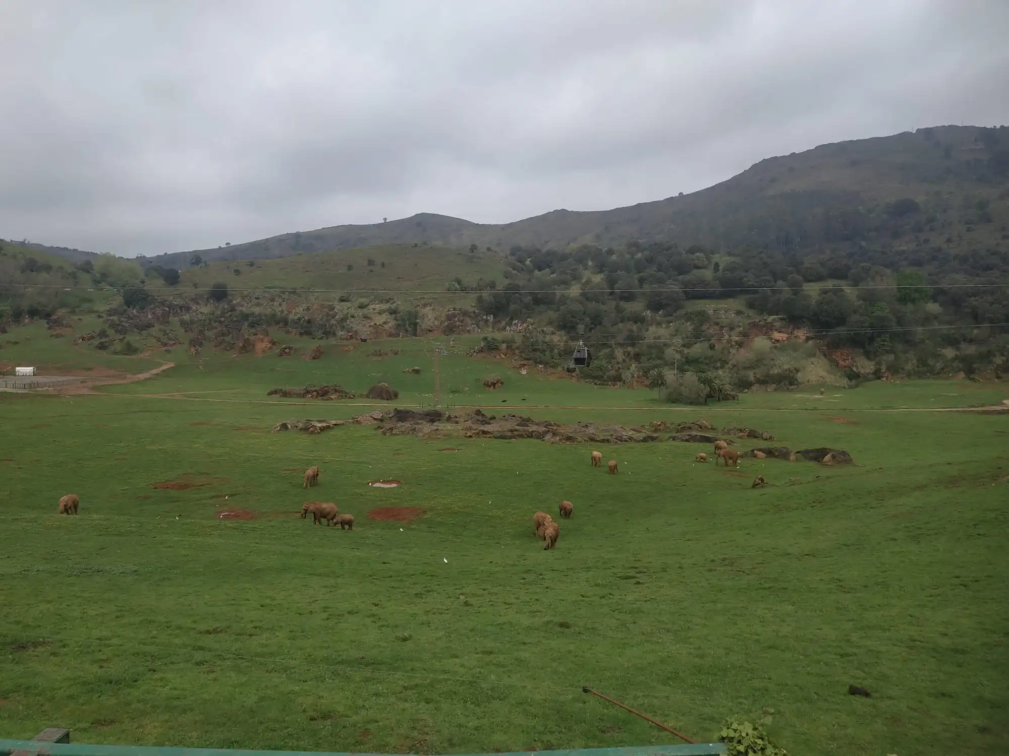 Elefantes africanos en Cabárceno.
