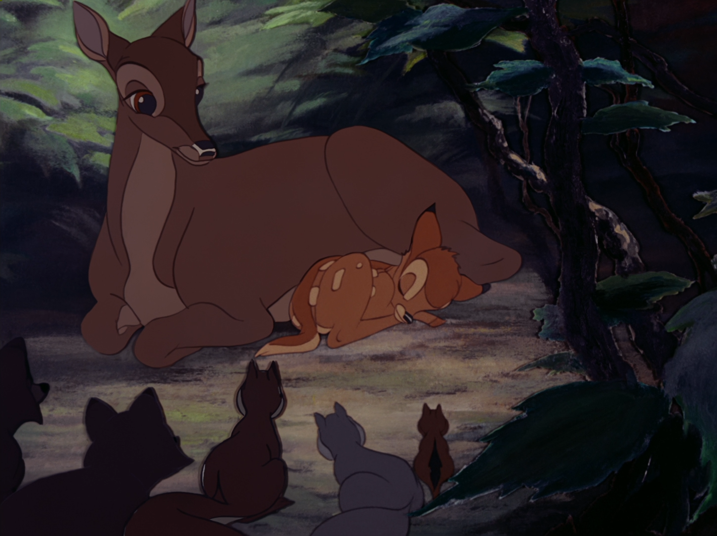 Bambi nace y todos los animales vienen a felicitar a su madre.