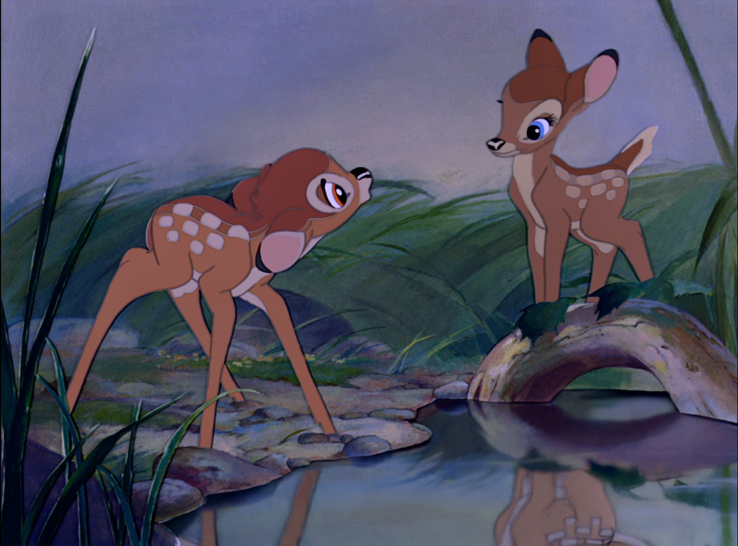 El primer encuentro de Bambi y Faline.