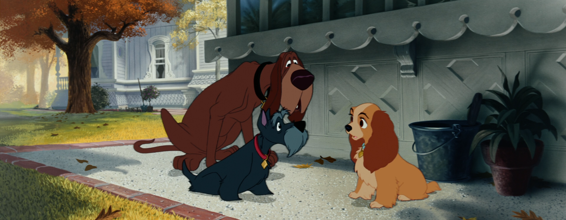 Jock y Triste consuelan a Reina por la llegada del bebé.